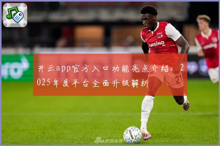 开云app官方入口功能亮点介绍，2025年度平台全面升级解析