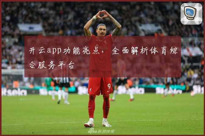 开云app功能亮点，全面解析体育综合服务平台