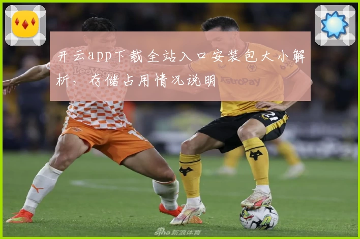 开云app下载全站入口安装包大小解析，存储占用情况说明