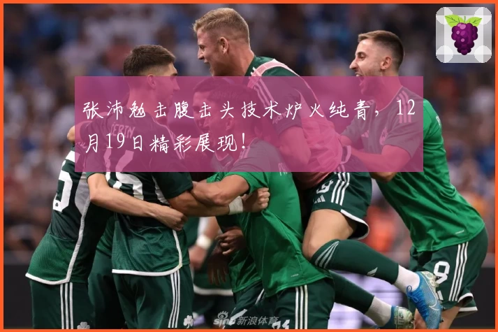 张沛勉击腹击头技术炉火纯青,12月19日精彩展现!