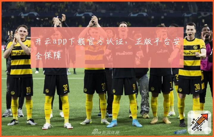 开云app下载官方认证，正版平台安全保障