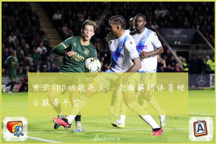 开云app功能亮点，全面解析体育综合服务平台